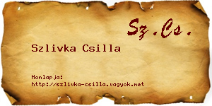 Szlivka Csilla névjegykártya